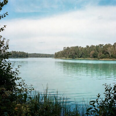 Turquoise Lake with Forest Shoreline
