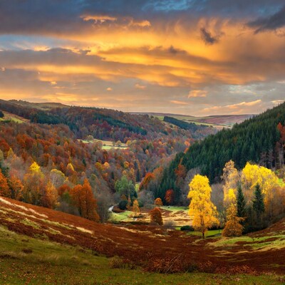 Autumn Valley Sunset Landscape