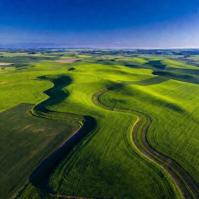 Aerial view of rolling green fields