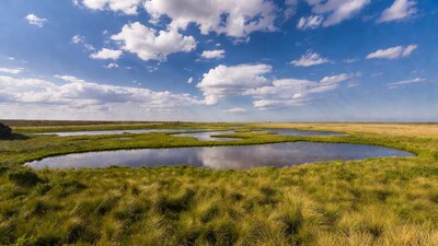 Winding Ponds in Golden Grassland