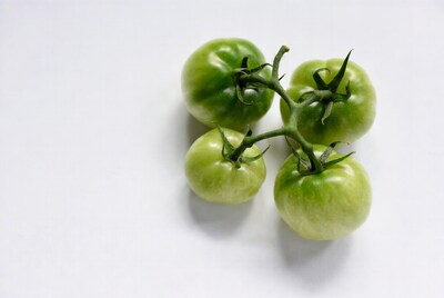 Green tomatoes on stems