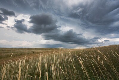 Stormy Clouds over Tall Grass Field