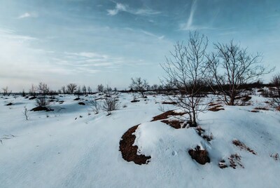 Snowy Landscape with Bare Trees