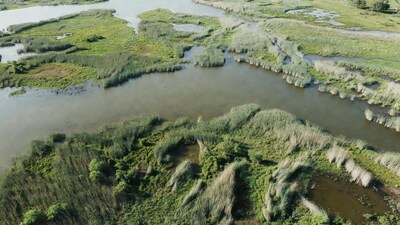 Aerial view of marshland wetlands