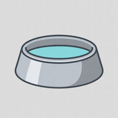 Silver dog bowl with blue water