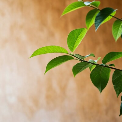 Green leaves on beige background
