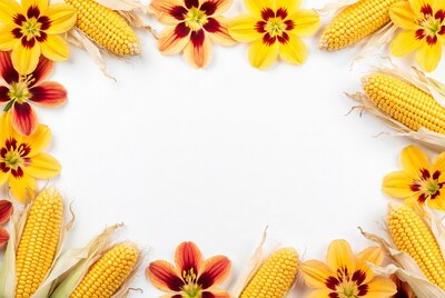 Corn and Daylilies on White Background