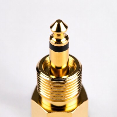Gold 1/4 inch audio plug