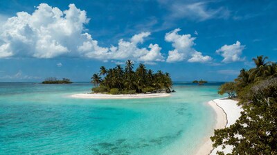Tropical palm island in turquoise ocean