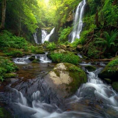 Waterfall cascading in lush green forest