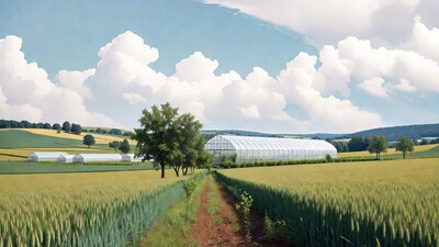 Greenhouses in Wheat Field Landscape
