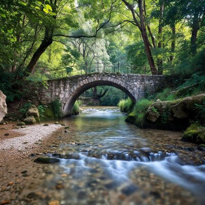 Stone arch bridge over forest stream