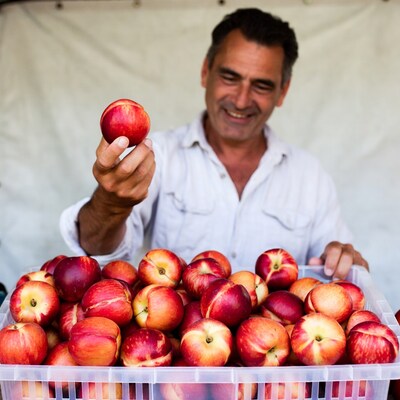 Smiling man holding peach at market