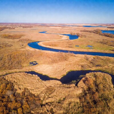 Aerial view of winding river in autumn wetlands