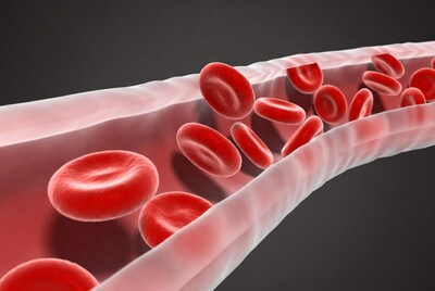 Red blood cells in blood vessel
