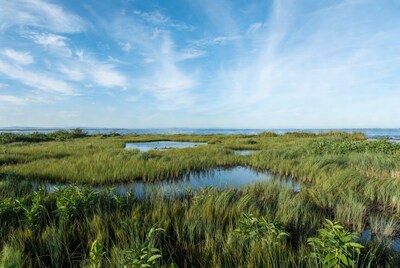 Marshland with Ponds and Ocean Horizon