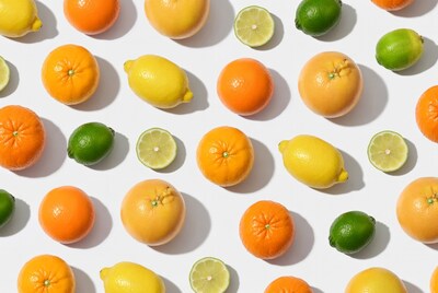 Oranges Lemons Limes on White Background