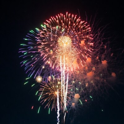 Colorful Fireworks Exploding in Night Sky