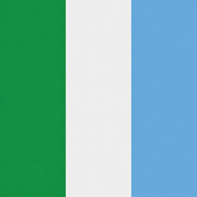Nigeria Flag Vertical Stripes