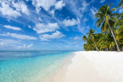 Tropical beach with palm trees and turquoise water