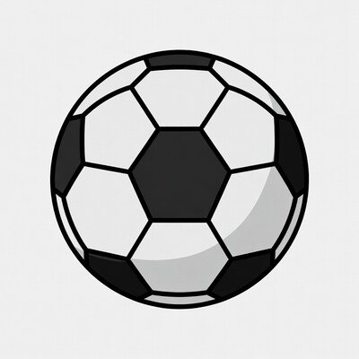 Black and white soccer ball illustration