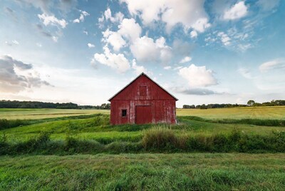 Red Barn in Green Fields