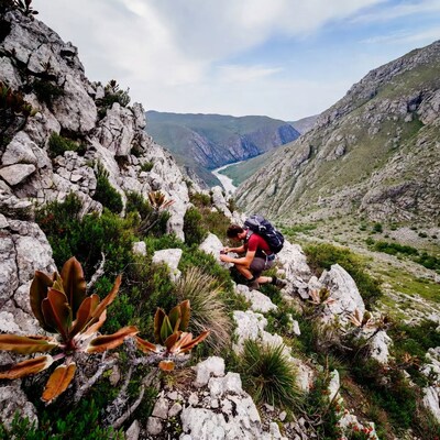 Hiker photographing canyon from rocky cliff