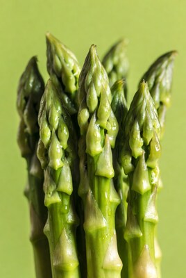 Fresh asparagus spears on green background