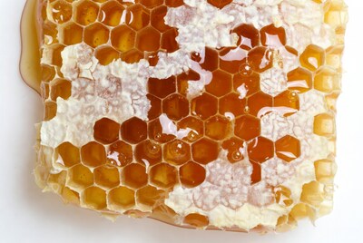 Honeycomb with dripping honey