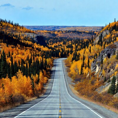 Winding road through autumn forest valley