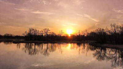 Sunset over lake with bare trees
