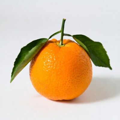 Orange with green leaves