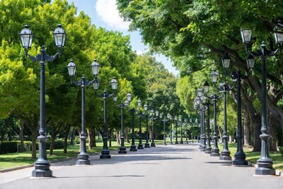 Tree-Lined Path with Black Street Lamps