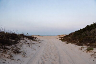 Sandy path through dunes to ocean