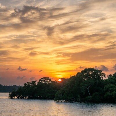Sunset over lake with trees