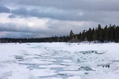 Frozen river with ice chunks and pine forest