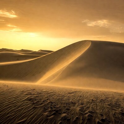 Golden sand dunes at sunset