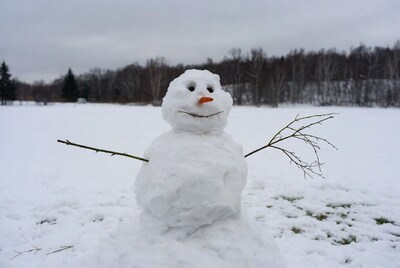 Snowman with carrot nose in snowy field