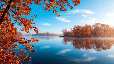 Autumn trees reflecting in lake