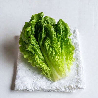 Fresh Romaine Lettuce on White Cloth