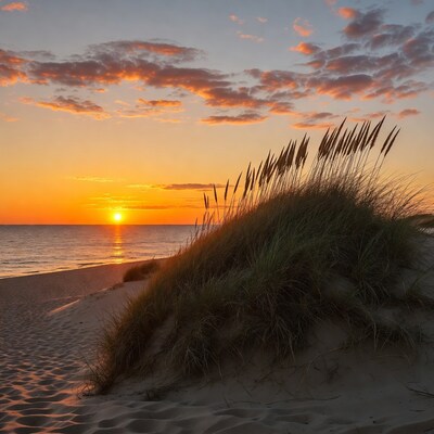 Sunset over beach dunes with sea oats