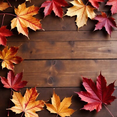 Fall maple leaves on wooden table