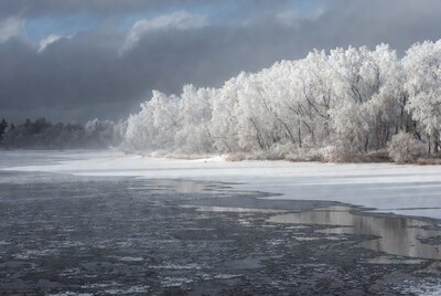 Frost-covered trees by icy lake