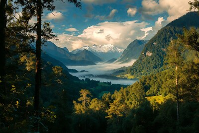 Mountain Valley with Fog and Trees