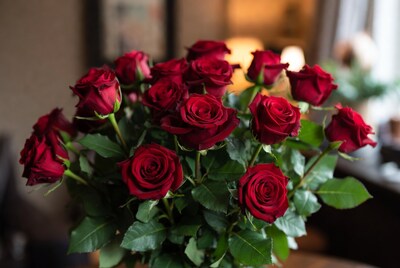 Bouquet of red roses