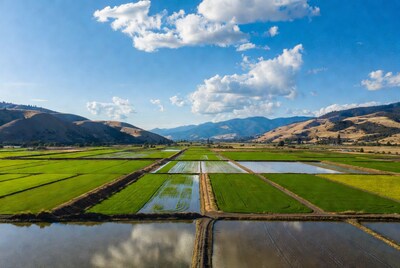 Aerial View Rice Paddies Mountains