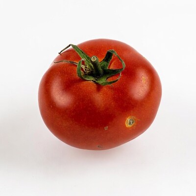 Red Tomato with Stem