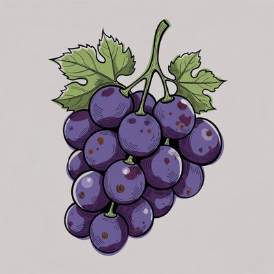 Purple grapes bunch with leaves
