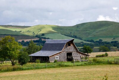 Rustic barn in green rolling hills
