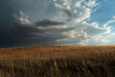 Golden grass field under dramatic clouds